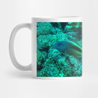 Red Sea Freckled Hawkfish Mug